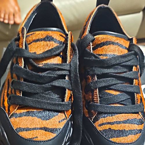 Just cavalli men low top - just,