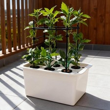 Hydroponic System Growing Box