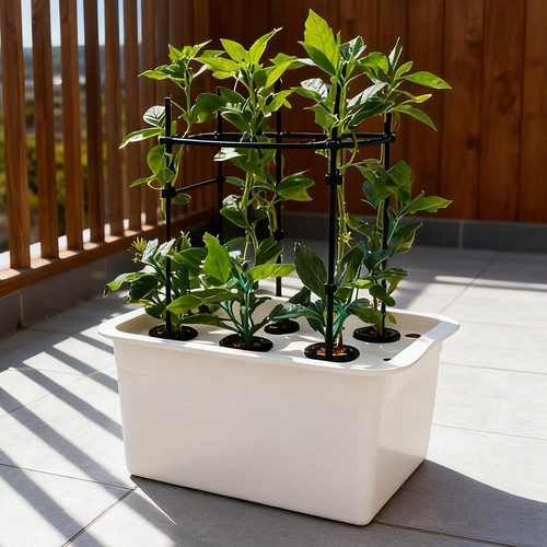 Hydroponic system growing box - hydroponic,