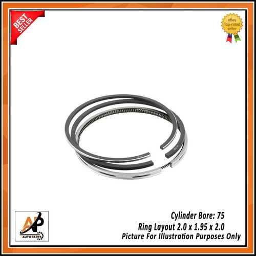 Piston ring set fits - piston,