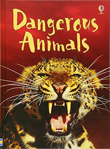 Dangerous animals usborne - dangerous, (usborne