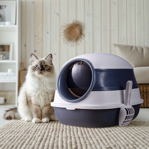 Large self clean cat - xl,