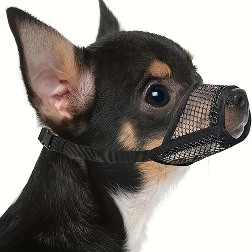 Mesh muzzle for short - for,