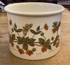Vintage Portmeirion Botanic