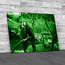 Blue Gold Macaw Green Canvas