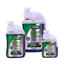 Blagdon Green Away Pond Algae