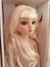 Ellowyne wilde doll, boxed. No