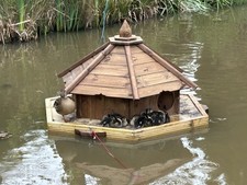 Large hexagonal floating duck - hexagonal,