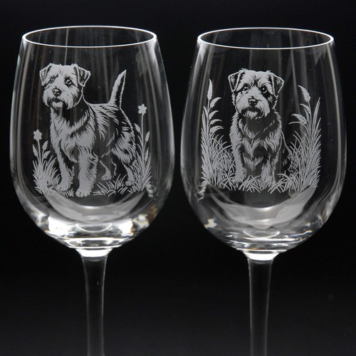 Norfolk terrier dog - norfolk,