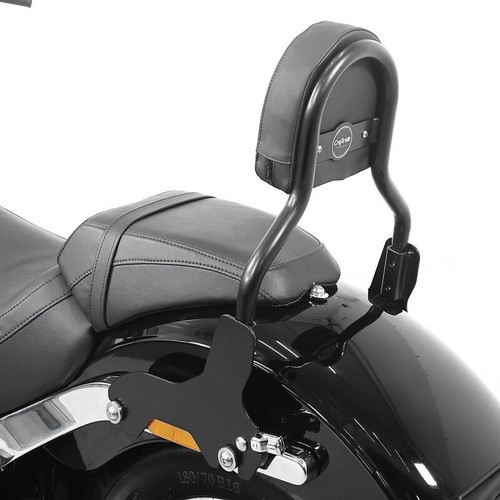 Sissy bar for - sissy,