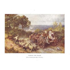 MYLES BIRKET FOSTER Passing