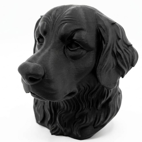 Bernese mountain dog bust - bust,