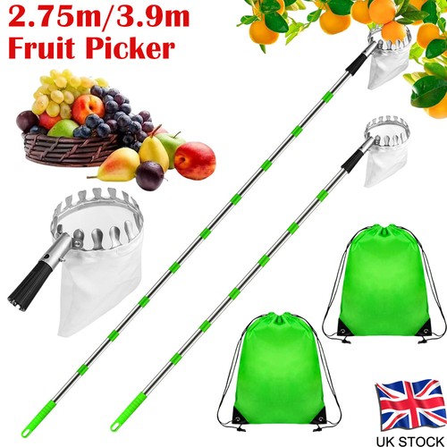 75m apple picker w - apple, w/