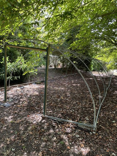 Commercial polytunnel - commercial,