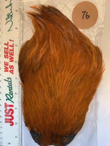 Fly tying cock - cape, top