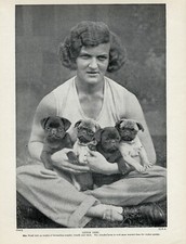 PUG OLD ORIGINAL DOG PRINT PAGE FROM 1934 GREAT IMAGE LADY AND PUPS