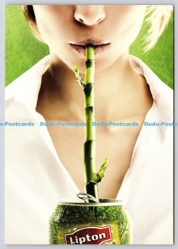 L387632 lipton green tea - lipton,