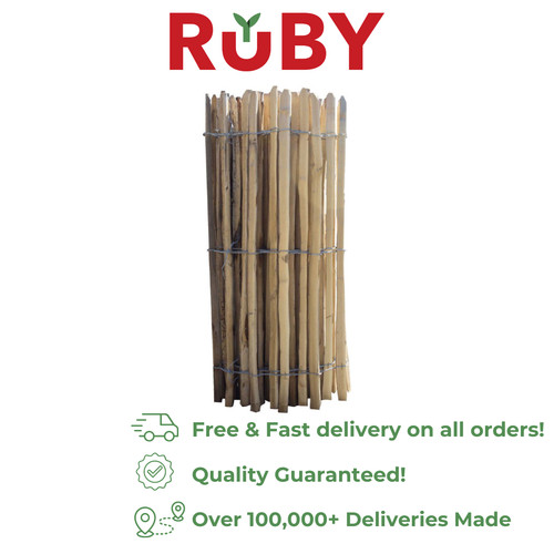 Ruby chestnut paling - ruby,