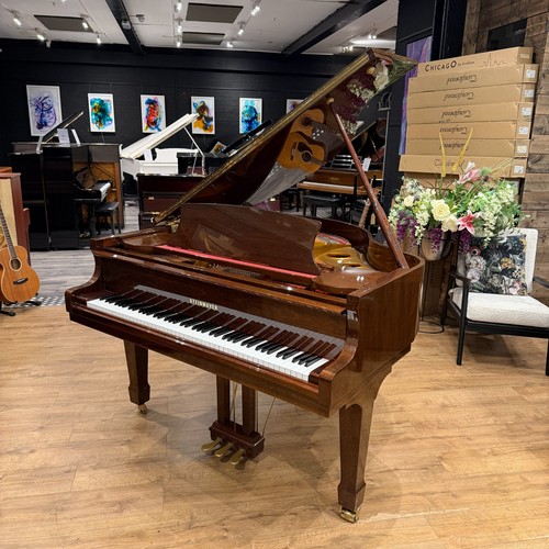 Steinmayer sg143 baby grand - steinmayer,