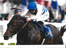 Mason Paetal signed photo-