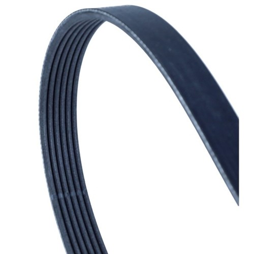 Fits contitech 6pk1000 - ✅fits,