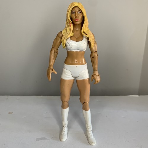 Wwe torrie wilson wrestling - torrie,
