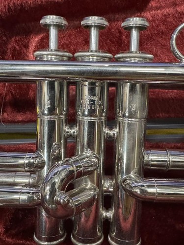 Yamaha ytr 136 trumpet silver - yamaha,
