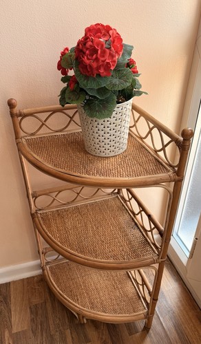 Vintage retro cane bamboo - cane,