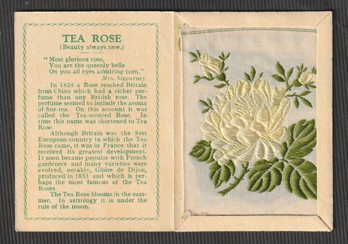 Wix kensitas tobacco - wix, silk
