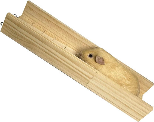 Guinea pig bridge small - pig, bridge,
