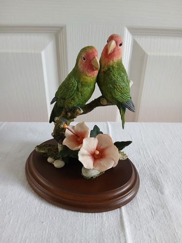Country artists lovebird - lovebird, pair