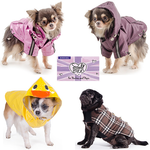 Dog coat puppy pink - dog, damson