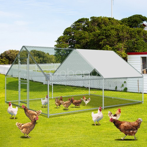 13x 10ft metal chicken - 10ft,