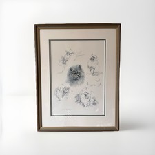 DAPHNE BAXTER Persian Cat Picture Art Print Martock Gallery Framed 50cm 