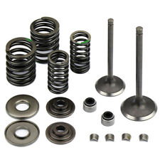 Valve Assembly Set Intake Exhaust Stem Shaft Kit for 250cc 260cc 300cc Scooters