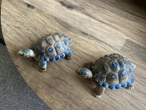 Pair vintage eade tortoise - of,