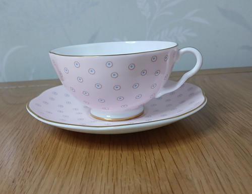 Wedgwood polka dot cup - wedgwood,