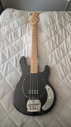 Stagg music man - man, style