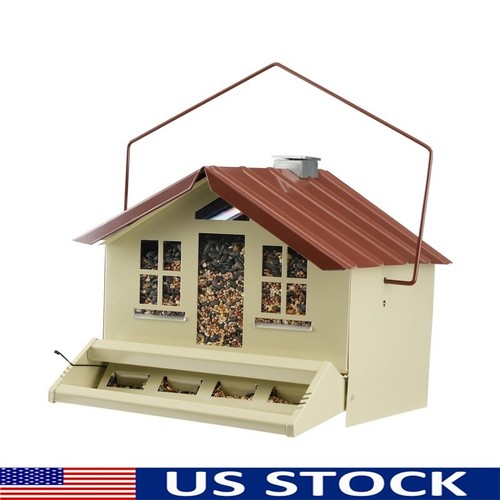 Squirrel proof bird - squirrel, feeder