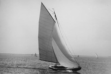 Oiseau Boat Yachting Sailing