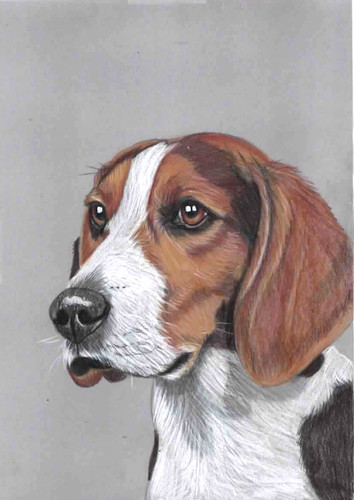 Original color pencil - , artwork