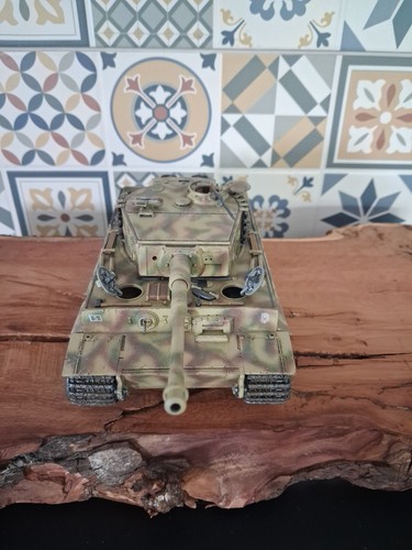 Tiger tank built and - 1/35,
