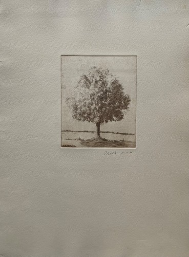 Etching signed tree the - tree, on