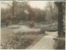 1932 Original Photo Gardens of