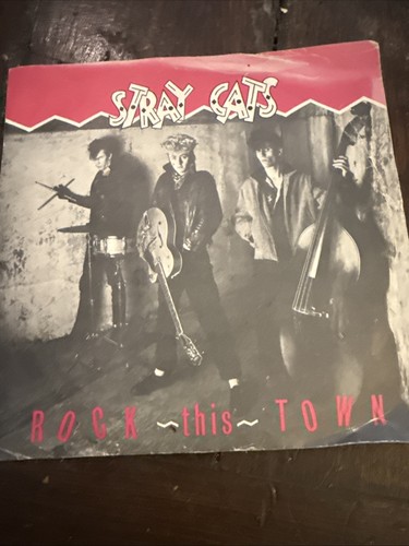 Stray cats rock this town - cats,