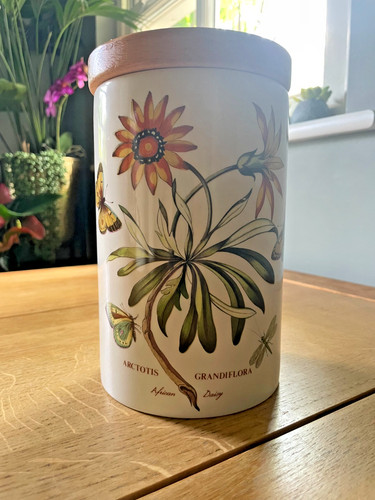 Vintage portmeirion botanic - vintage,