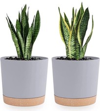 2x Flower Plant Pot Large 20