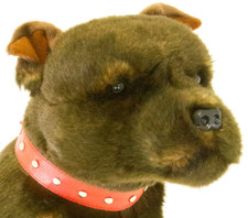 ~❤️~BOCCHETTA Staffy