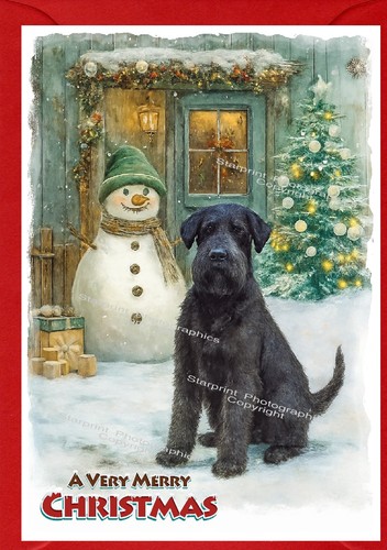 Giant schnauzer dog christmas - dog,