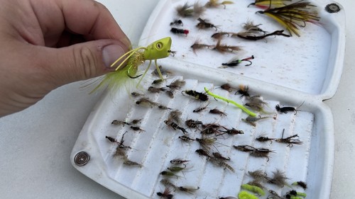 Orvis box with wet - orvis,